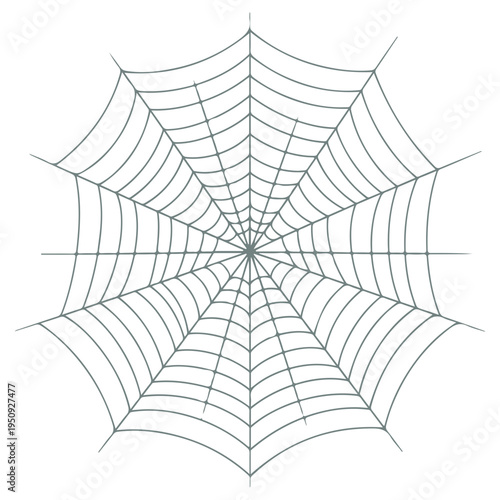 Realistic spider web vector illustration set isolated on transparent background. Creepy cobweb corner decoration for Halloween design, spooky gothic gothic aesthetic, hand-drawn net pattern graphic.