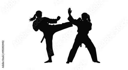 Vector silhouette of two women practicing karate