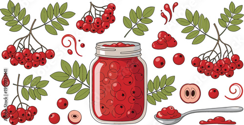 Rowan Berry Jam Jar with Fresh Red Berries Leaves and Spoon Homemade Organic Preserve Food Vector Illustration Set