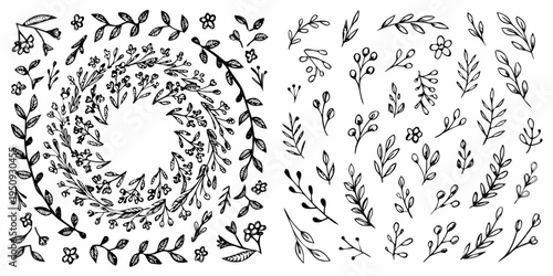 Hand drawn botanical illustration featuring leaves flowers and delicate branches