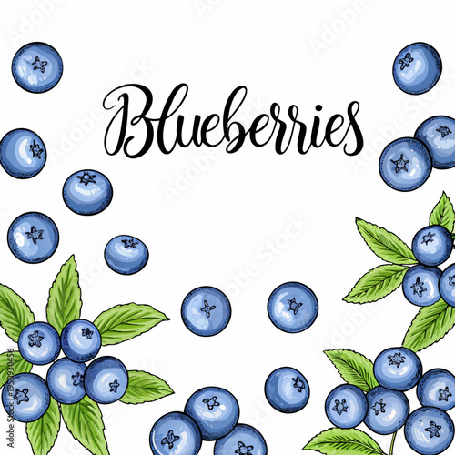 Watercolor blueberries and leaves arranged as a decorative border design