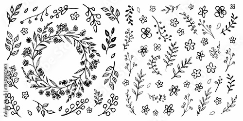Hand drawn floral and botanical elements in a black and white sketch