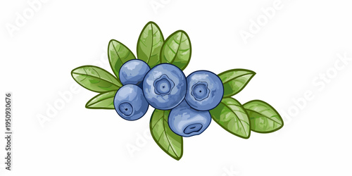 A vibrant illustration of fresh blueberries with detailed green foliage