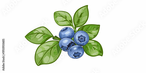 A watercolor illustration of a blueberry branch with vibrant green leaves