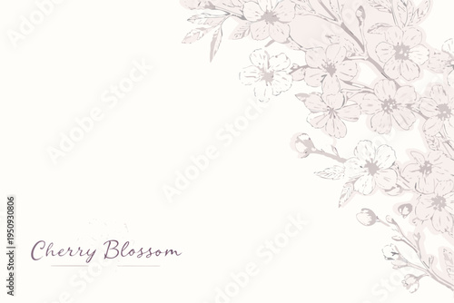 Delicate cherry blossoms cascade from a branch filling the right side