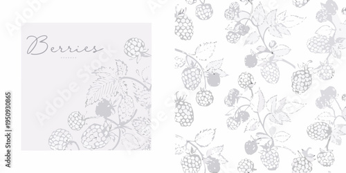 Elegant botanical illustration featuring delicate sketches of blackberries and raspberries