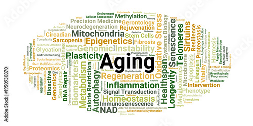 Biological Aging Word Cloud. Core Concepts in Longevity Science and Cellular Senescence