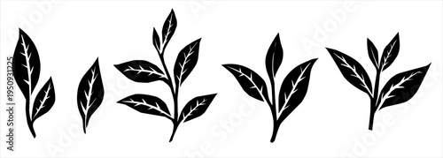 Silhouette Tea leaves. Green tea Leaf pattern . Tea leaf collection. 