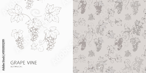Delicate botanical illustration of grape vines and bunches of grapes