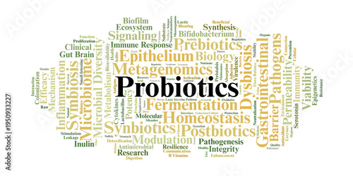 Probiotics Word Cloud. Visual Summary of Microbiome Science, Fermentation, and Digestive Health. Highlights Clinical Terms for Gut Integrity, Immune Support, and Bacterial Balance.