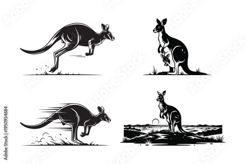 Kangaroo jumping, Kangaroo with joey, Kangaroo with baby in pouch, Kangaroo standing on hill, Kangaroo with joey peeking out, Mother kangaroo standing with joey, Mother kangaroo standing with joey