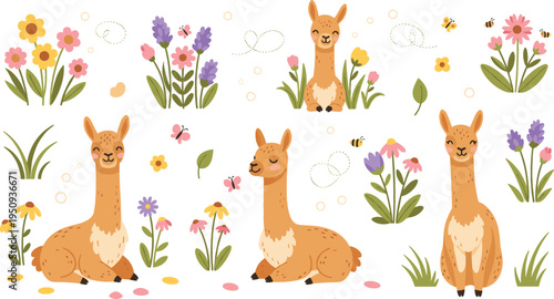 Cute Llama Cartoon Character Set with Spring Flowers Bees Butterflies and Nature Garden Elements for Wildlife Vector Illustration Collection