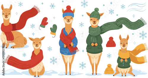 Cute Llama Winter Cartoon Character Set with Scarves Hats Mittens Snowflakes and Cozy Seasonal Clothing Vector Illustration Collection