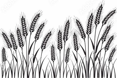 A detailed illustration of wheat stalks and blades of grass