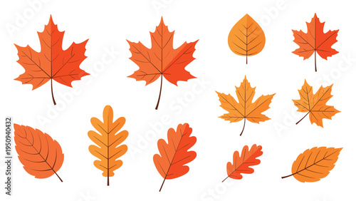 Collection of various autumn leaves in shades of orange and yellow, featuring maple and oak shapes with subtle shadows on a white background.