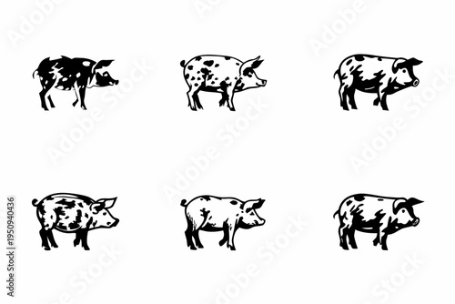 Collection of six black and white spotted pig illustrations in various poses
