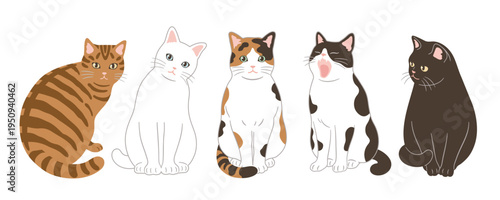 かわいい猫のヘッダーデザイン
