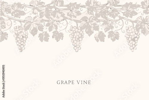 Elegant grape vine illustration with bunches of grapes and detailed leaves