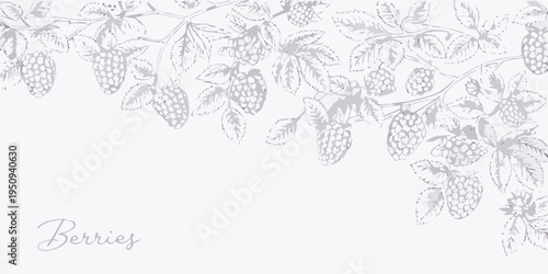 Delicate sketch of hanging hops and berries on a light background