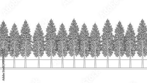Horizontal row of identical sketched coniferous trees in black and white line art, creating a clean and minimalist forest border or divider.