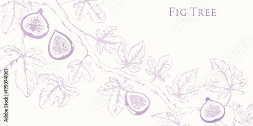Delicate fig tree branch illustration with cutaway fruit and leaves