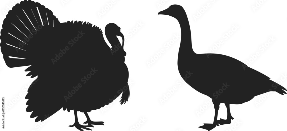 Fototapeta premium Black silhouette of a wild turkey and a domestic goose isolated on white background for farm animals and holiday designs.