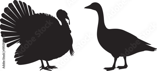 Black silhouettes of a wild turkey and a domestic goose isolated on white background for farm animals and holiday designs.