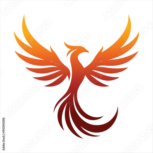 majestic phoenix vector silhouette outline logo design  concept illustration idea
