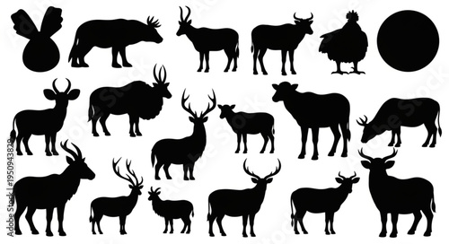 Collection of Various Animal Silhouettes Isolated on White Background.