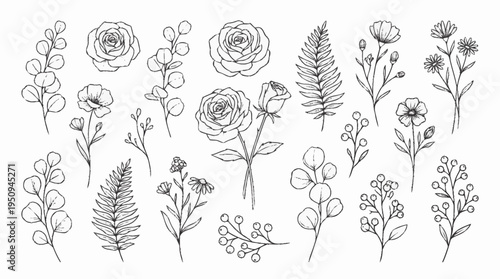 A collection of various floral illustrations.