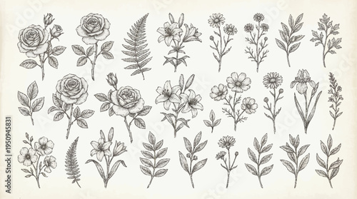 A collection of various flowers and leaves.