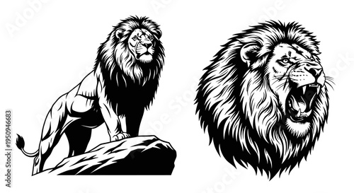 Majestic Lion Roaring Head and Standing on Rock, Black  White Line Art