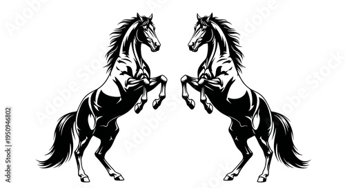 Black and White Vector Art of Two Rearing Horses