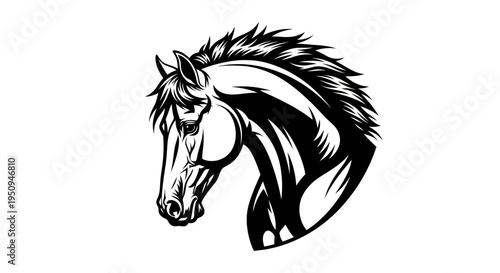 Black and White Horse Head Vector Art, Animal Icon