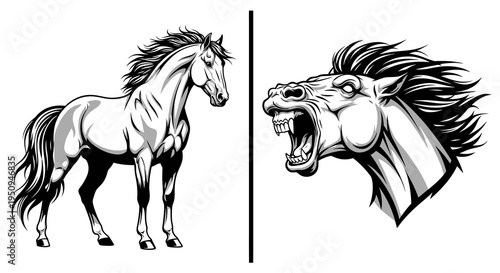 Black and White Horse Illustration: Majestic Stallion  Fierce Head