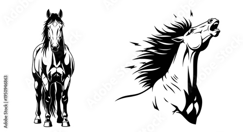 Black and White Horse Vector Art, Majestic Animal Illustration