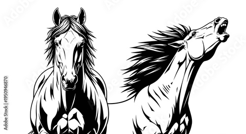 Dynamic Black and White Horse Illustration - Animal Art