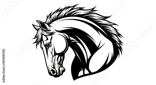 Black and white horse head vector illustration, equestrian sport art