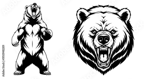Black and White Bear Roaring, Wildlife Animal Vector Art