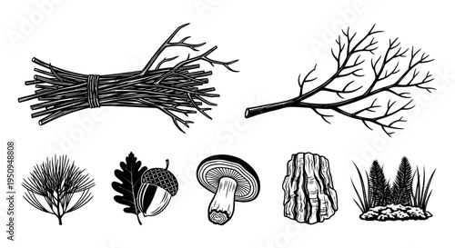 Black and White Line Art Forest Elements: Branches, Acorn, Mushroom, Tree Stump, Pine