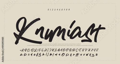 Script Brush Font Type Font lettering handwritten. vector illustration 