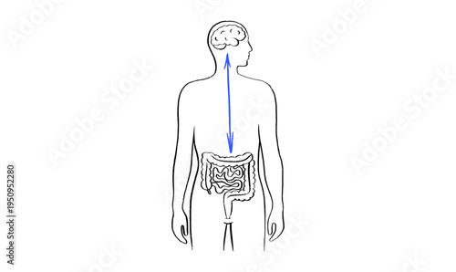 Gut Brain Connection