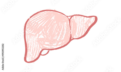 Liver logo sketch
