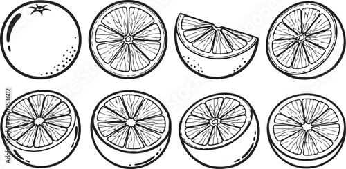 A collection of various citrus fruits including oranges and lemons Vector