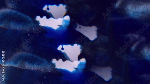 Paint splash blur. Color fluid dripping. Blue watercolor dye blotch on white black acrylic. Abstract wavy color mix prism background.