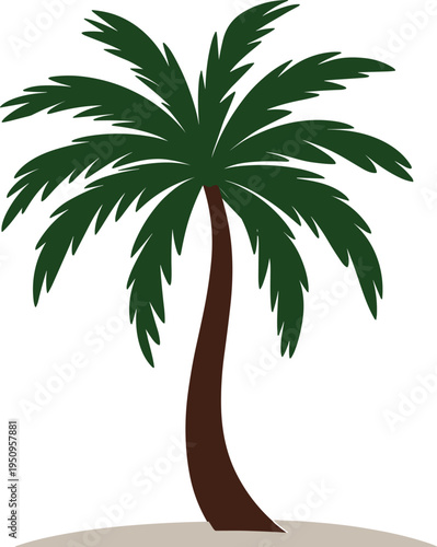 Tropical palm tree vector illustration isolated with green leaves and curved trunk for summer beach nature design flat style