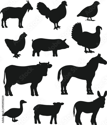 Farm animals collection vector illustration with silhouettes of cow horse pig sheep chicken and other animals