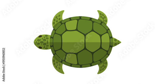 Tableau sur toile Green turtle from the back.