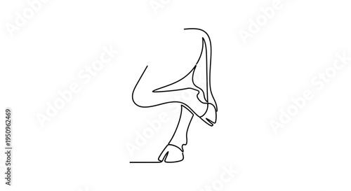 Minimalist single line drawing of a horse's hind leg and hoof on white background