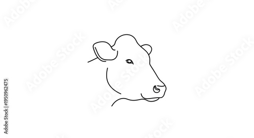 Minimalist single line drawing of a cow head, simple farm animal illustration, black and white outline